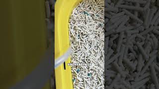 Title: Revolutionize Your Cat's Life with the Ultimate Litter Review