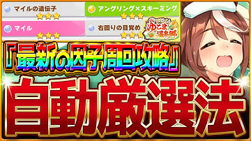 【ウマ娘】育成を強くする"完全オート温泉シナリオの因子厳選まとめ"!!最新版の設定・おすすめサポカ編成・レースローテをすべて解説！知って得する因子知識も紹介！星3確率/シナリオ【永久保存版-因子厳選】