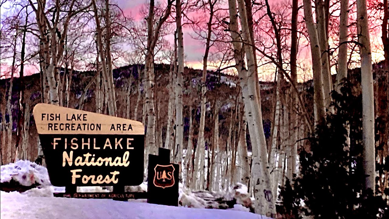 Ice Fishing Fish Lake Large Trout YouTube