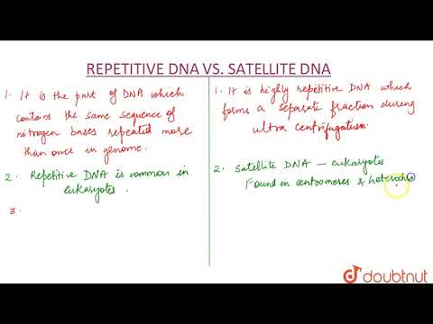 Video: Unterschied Zwischen Repetitiver DNA Und Satelliten-DNA