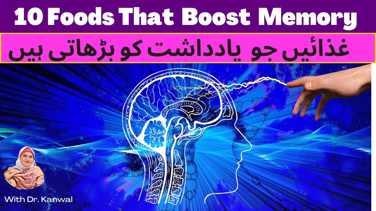 10 Best Foods To Boost Brain Power and Improve Memory,دس بہترین غذائی ...