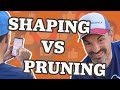 Nice shape bad pruning ratemyprune reaction  treestuffcom