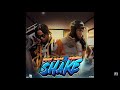 Prince Swanny X Skillibeng - Shake Lyrics | Official Lyrics