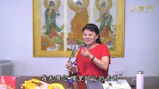 生命打开视角　 易度门　 聊天室汇辑2018年5月
