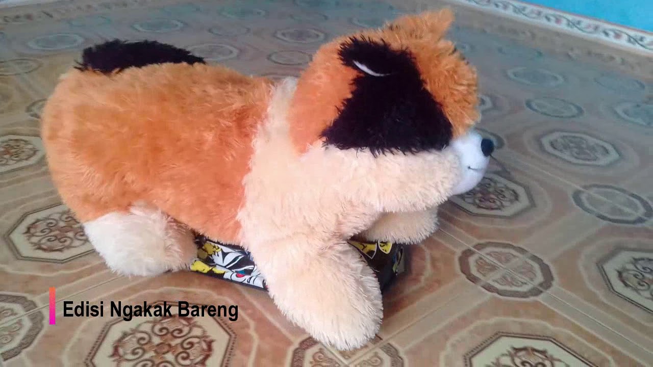 Vidio Ngakak Perlu Ditonton &quot;Boneka Kucing Numpak Mobil&quot; - YouTube