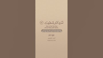 سورة غافر [ 69 : 73 ] ~ الشيخ أحمد النفيس
