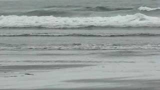 MVI_8124.AVI