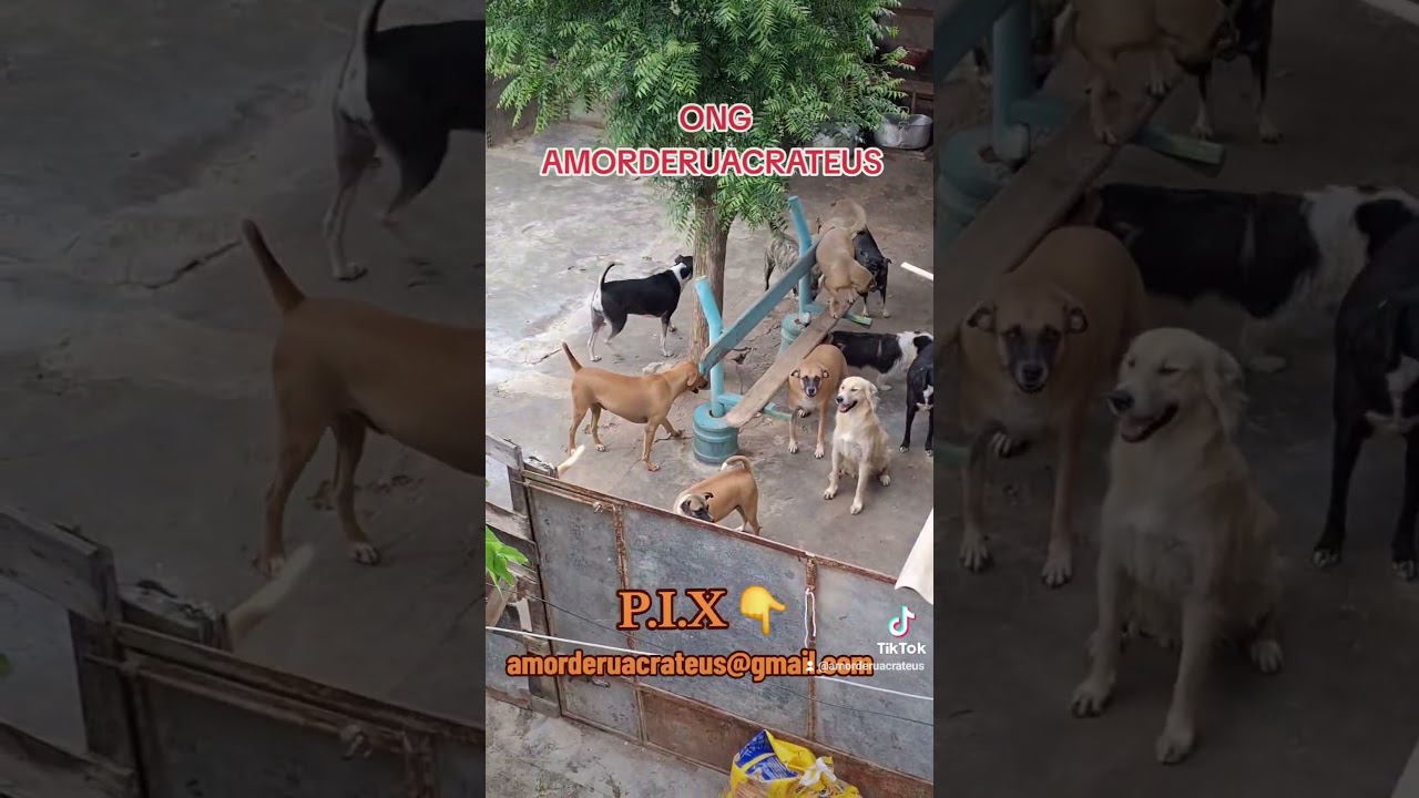 AJUDEM NOSSOS RESGATADOS 