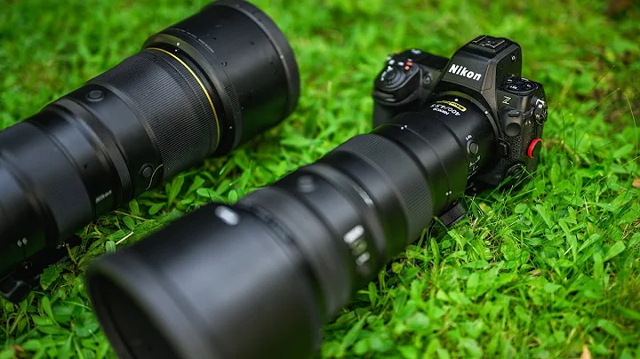 Nikon buyer's guide for wildlife photography – advanced users & professionals