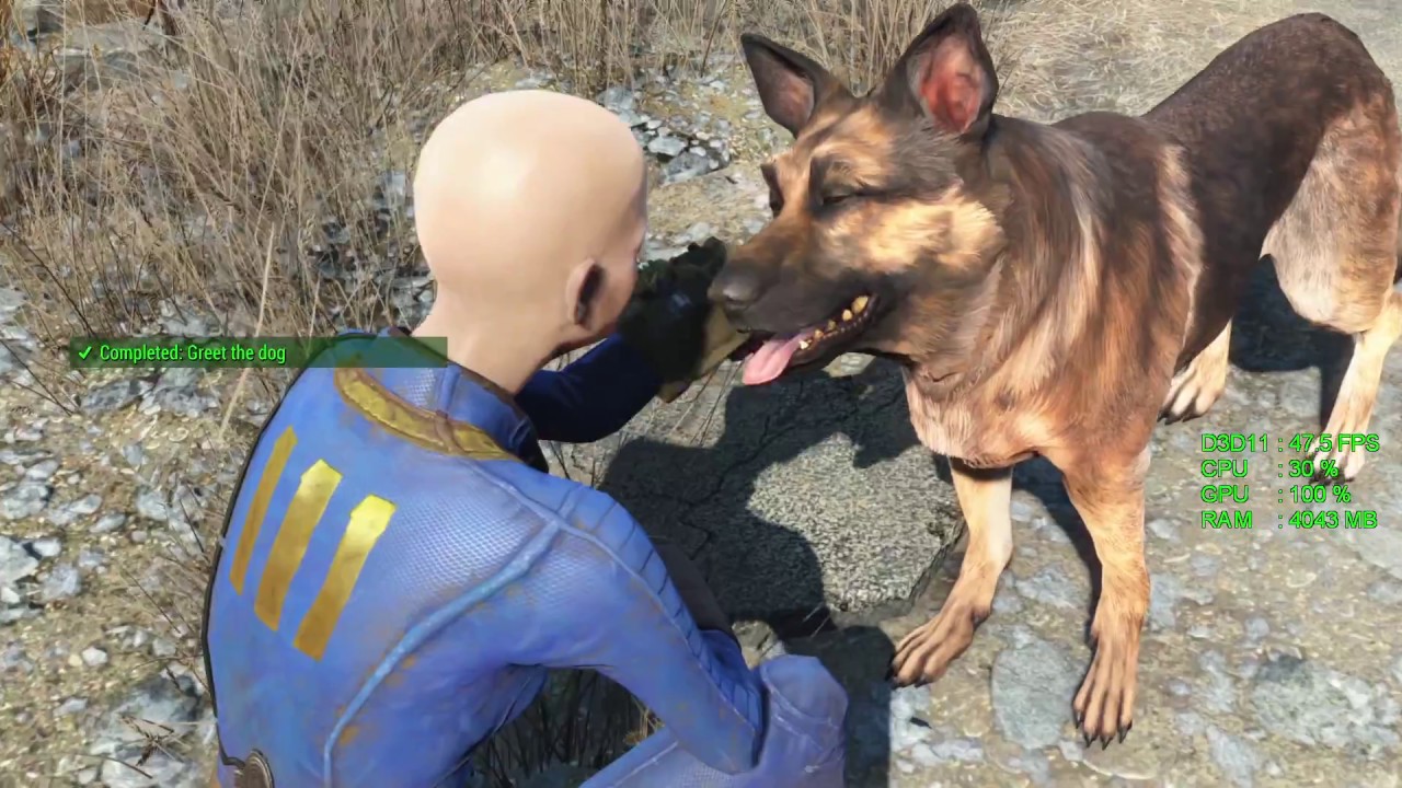 AMD Radeon RX 460 -- Intel Pentium G4560 -- Fallout 4 FPS Test