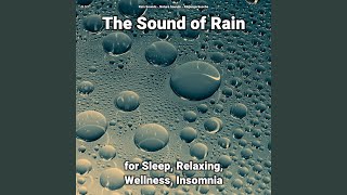 The Sound of Rain Pt. 14
