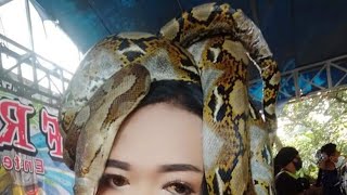 Download Lagu Penari Ular Goyang Heboh Bety Sanca Live Musik \ MP3