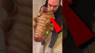 ESSE BICHO É MUITO ESTRANHO