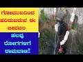 Shri Kshetra Gayamukh Guptalingeshwar Temple | Khanapur | Bidar | ಗಾಯಮುಖ ಗುಪ್ತಲಿಂಗೇಶ್ವರ | ಬೀದರ್
