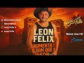 LEON FELIX - CD NOVO VERAO 2025 REPERTORIO ATUALIZADO MUSICAS NOVAS (AUMENTA O SOM QUE É LEON)