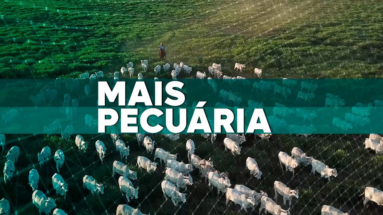 Mais Pecuária | 30/06/2025