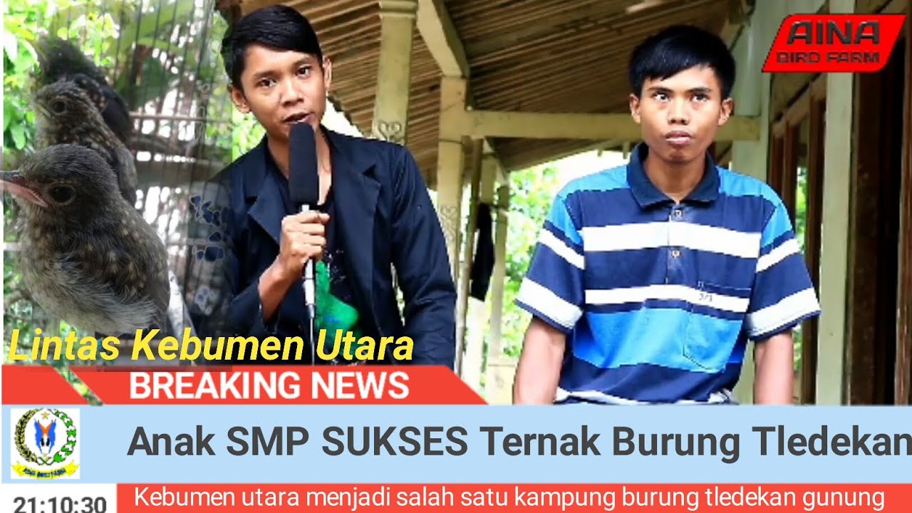 Anak SMP SUKSES Ternak burung Tledekan Gunung 
