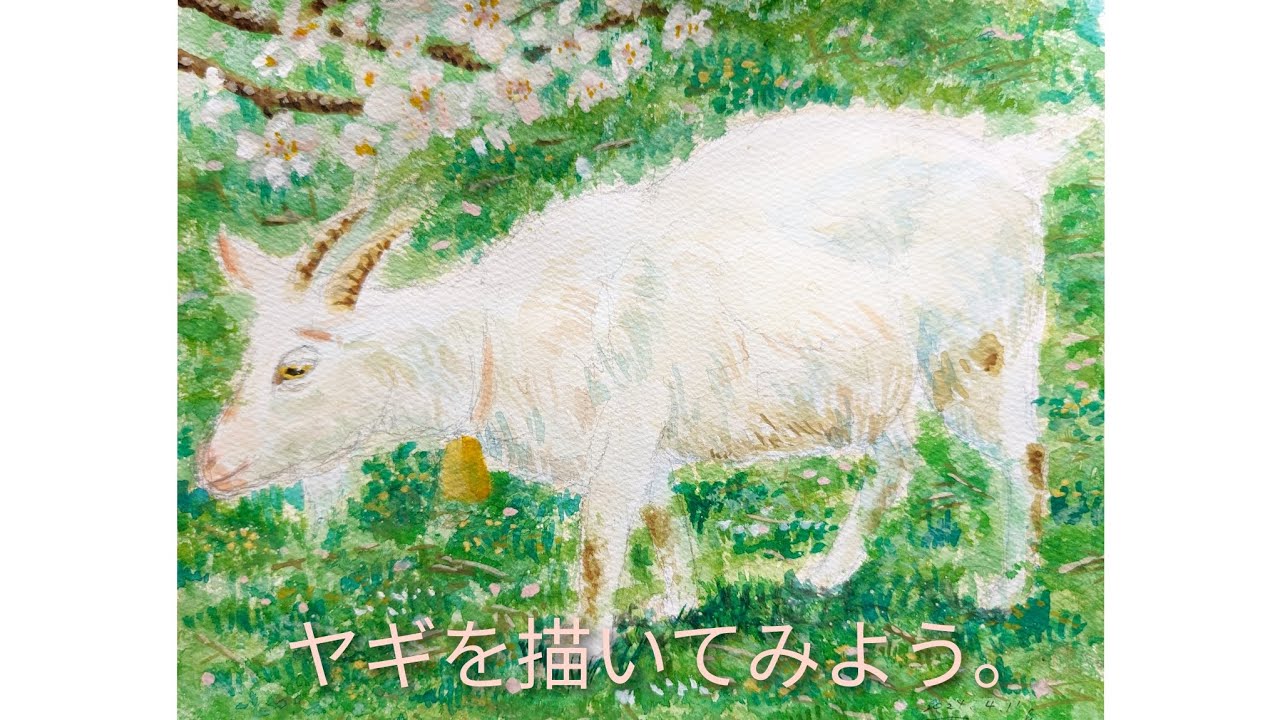 ヤギを描いてみよう。 - YouTube