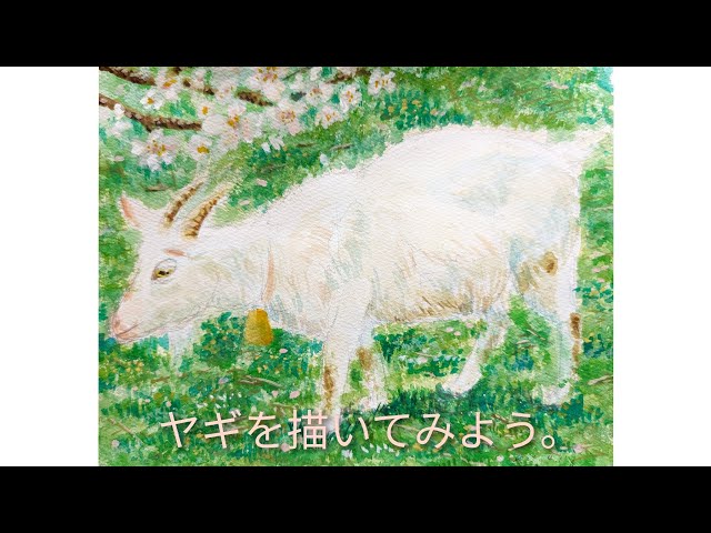 ヤギを描いてみよう。 - YouTube