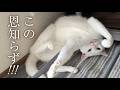 母親に殴りかかるとは、何事だ!!