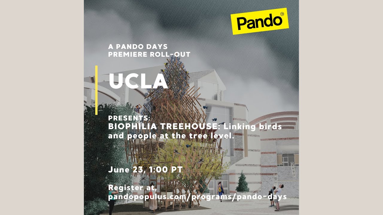 UCLA Premiere Presentation