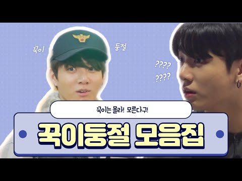 [방탄소년단(BTS)/정국(JK)] 정국이는 몰라! 모른다구! 꾹이둥절모음집