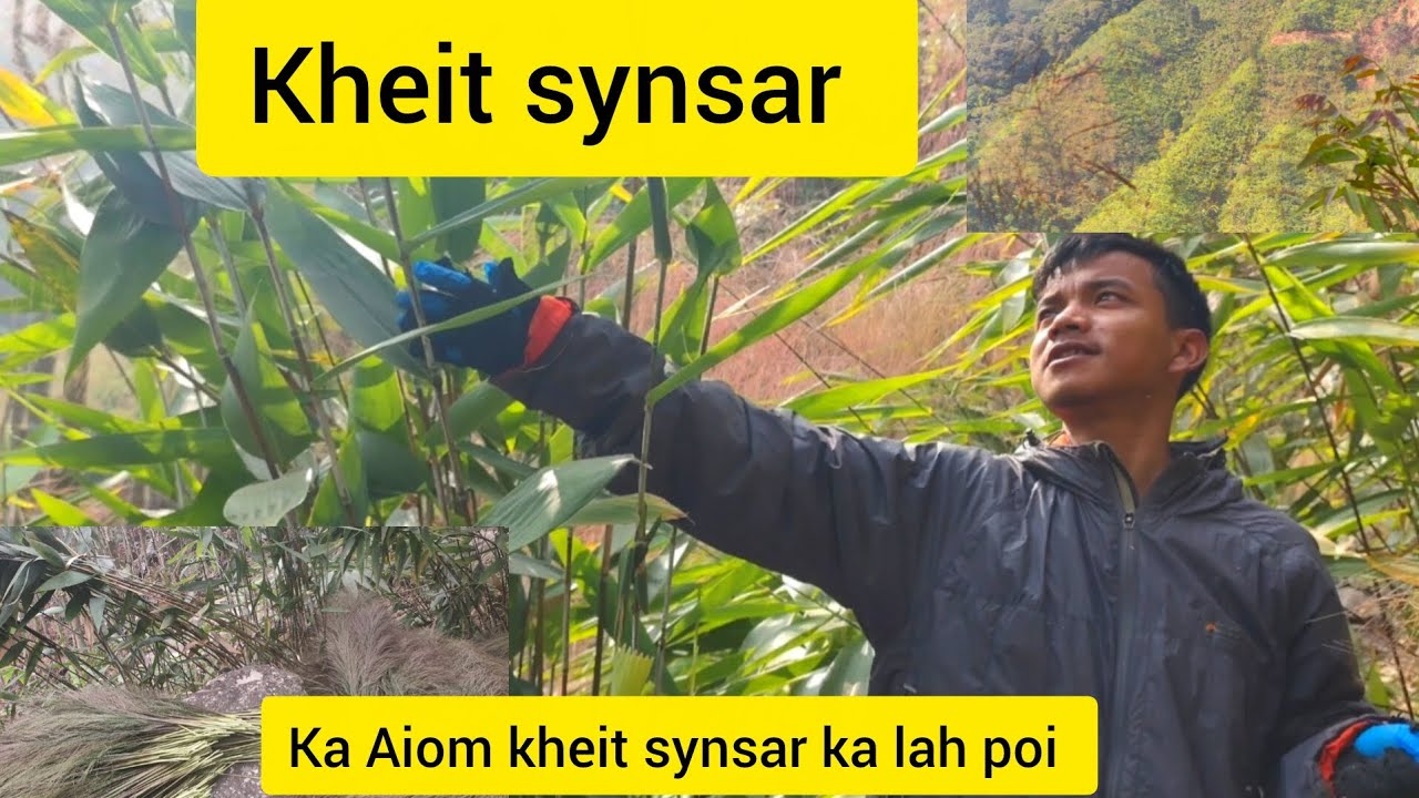 Ale ngin kheit synsar noh❤️❤️