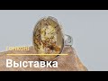 Натуральные минералы привезённые с выставки в Гонконге