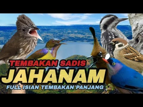 TEMBAKAN SADIS JAHANAM‼️FULL TEMBAKAN PANJANG-PANJANG.