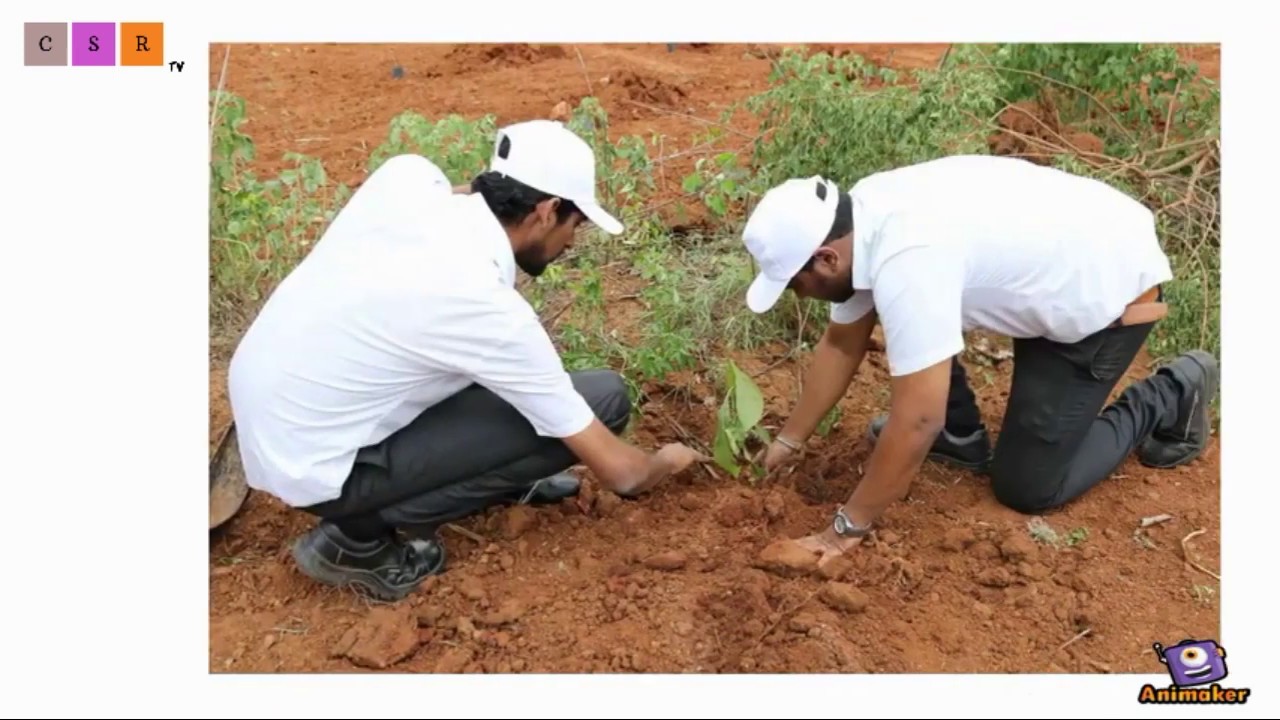 What activities qualifies for CSR | Corporate Social Responsibility