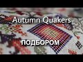 Всё, что вы хотели знать об Осеннем Квакере подбором. ROSEWOOD MANOR Autumn Quakers.