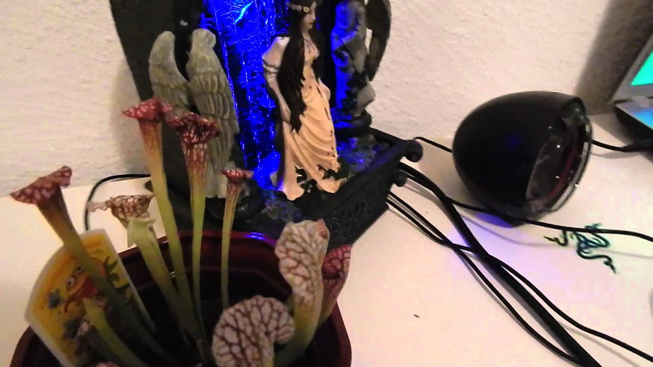 Deko Gothic Zimmerbrunnen Vampir Lady [GER] [FULL HD]