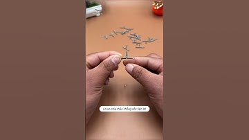 Lò xo chia thẻo chống xốc, chống rối thẻo cực kỳ tiện lợi #fishing #shorts