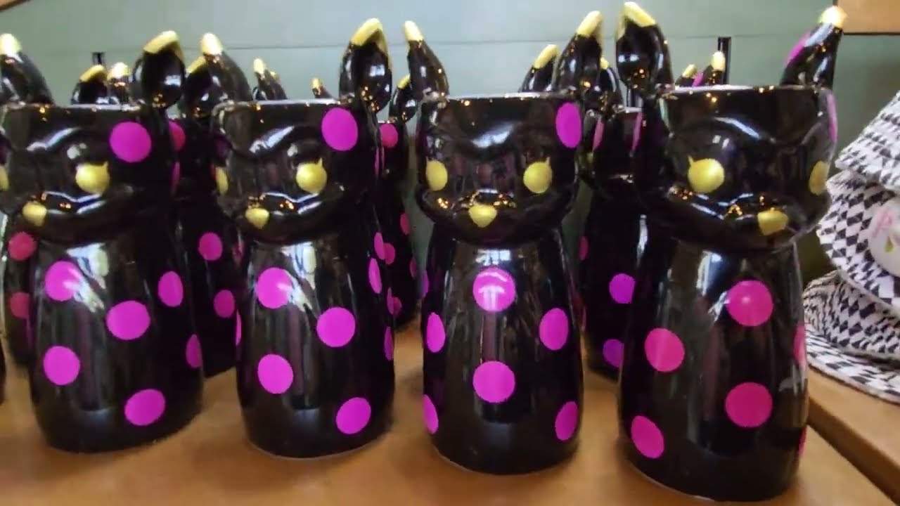 Shopping at Disney Traders and Port of Entry - Epcot