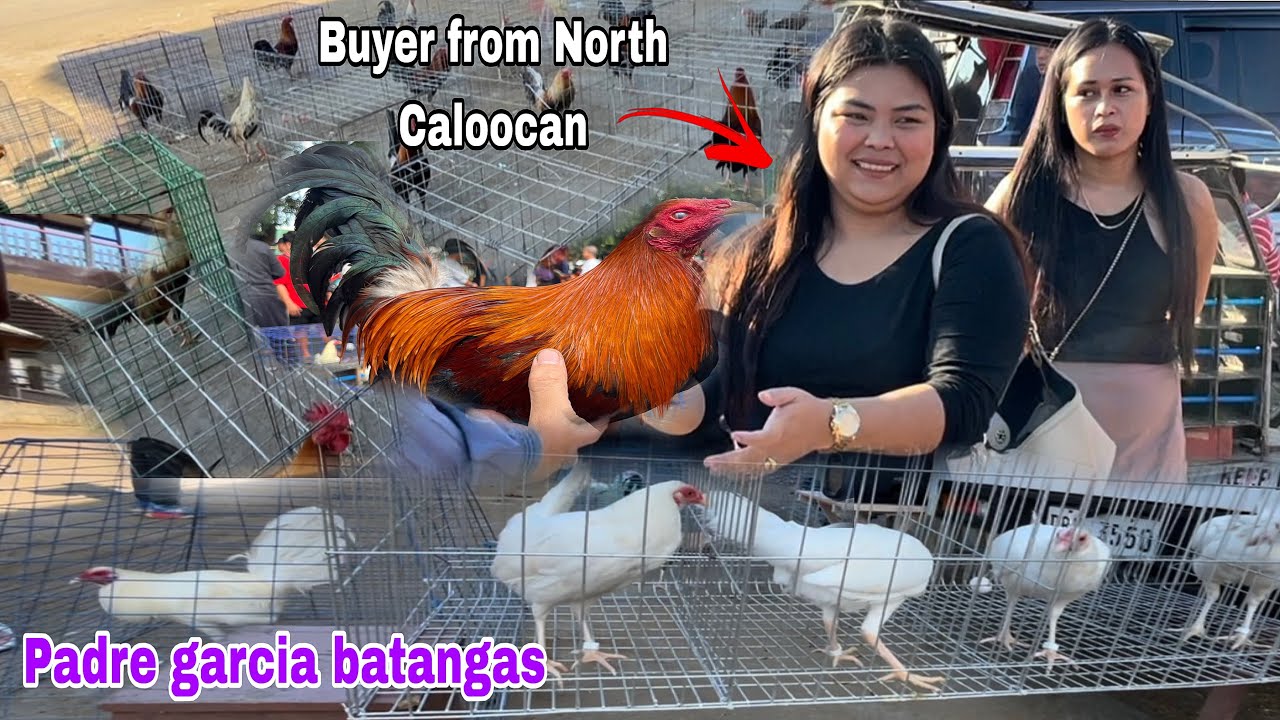 February 03, 2026 Halos lahat ng inabot natin sa Padre Garcia batangas ay Budgetmeal…