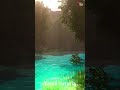 Unreal Engine 5 Beginner To Pro #shorts #viral #greenscreen