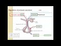 Hyperprolactinemia dr manal