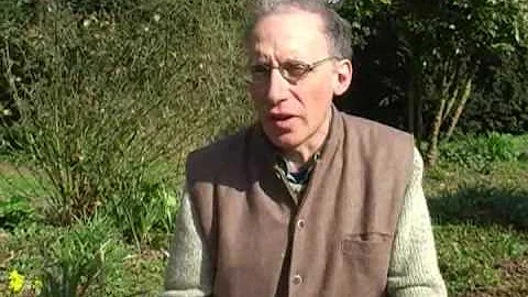 ANIMATE EARTH Science, Intuition and Gaia  by Step...