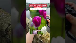 DAY 34 of See It Like A Photographer