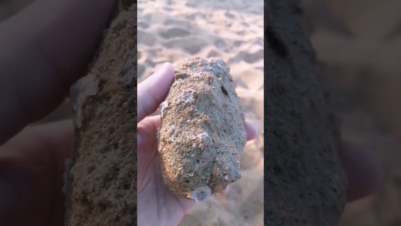 Thailand. Pinnacle Grand Jomtien. Цены, фрукты и. Day 4.