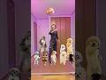 犬達と仲良くする男がヤバすぎる… That man, who can get along so well with dogs, is very dangerous🐶