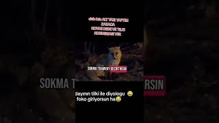 Zaza Amca Ile Tilki Arasında Zazaca Muhabbet