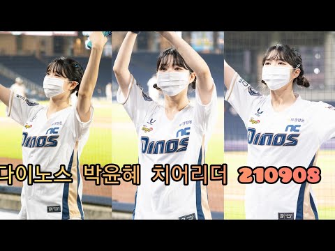 nc다이노스 박윤혜 치어리더 팀응원 210908