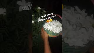 August 14, 2025 Resimi