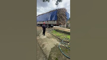 Cân Điện tử 80 tấn