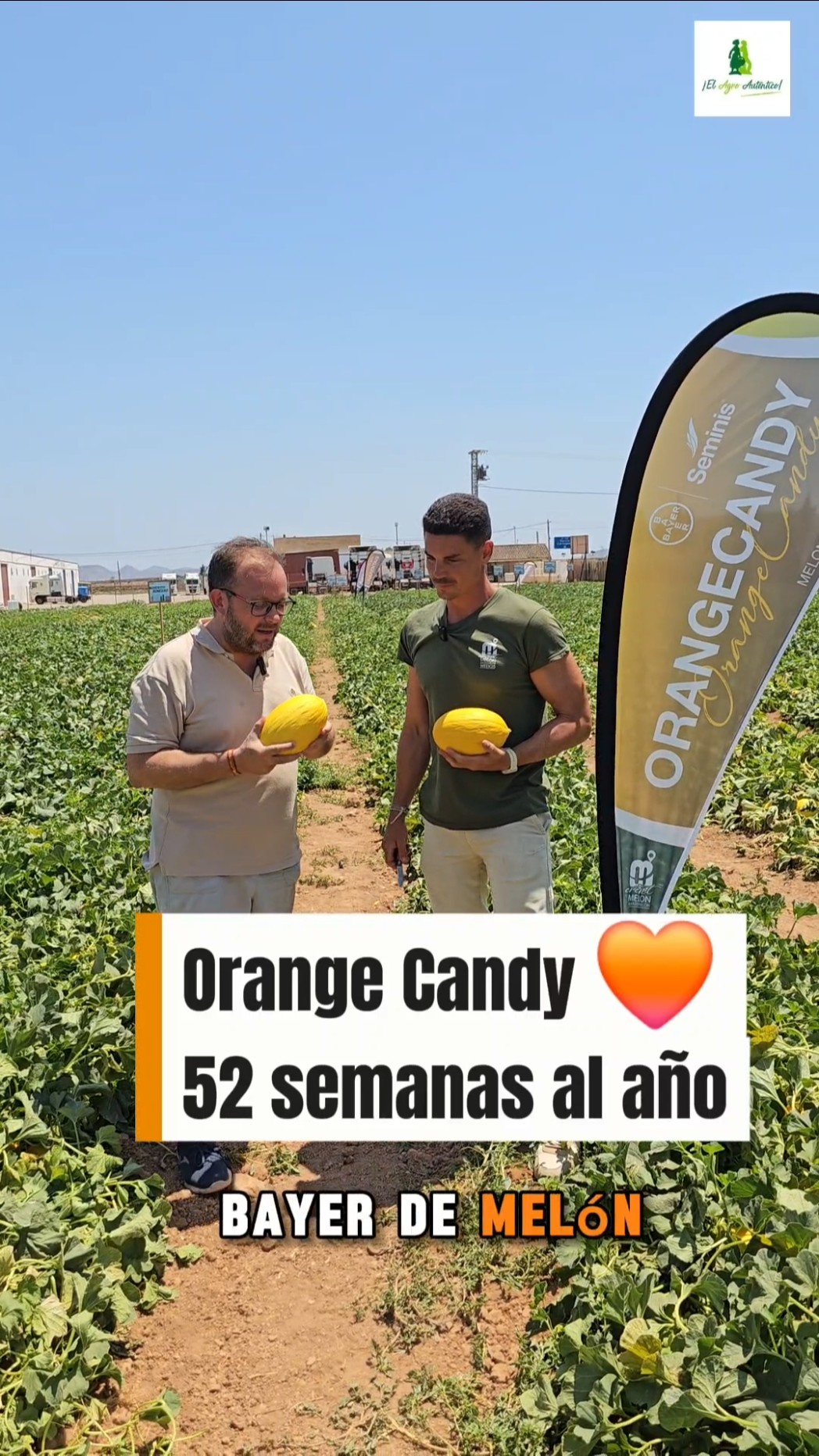 Orange Candy 52 semanas al año