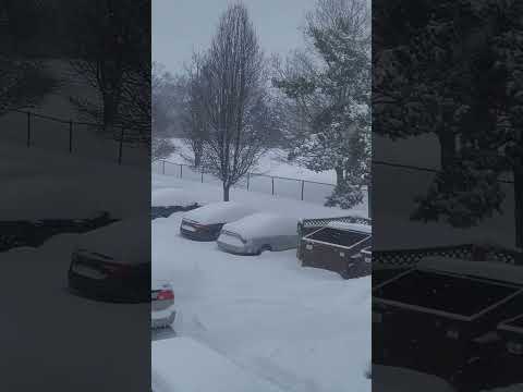 Video Biggest snowstorm #touristdestinations #shots 01/25/2026 #today
