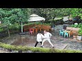 Globalink  dutch tourist learns tai chi in s chinas tourist county