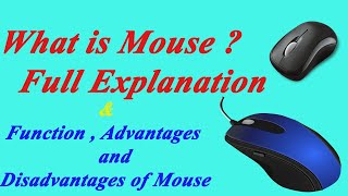 What is Mouse ? Full Explanation | Function , Advantages  and  Disadvantages of Mouse .