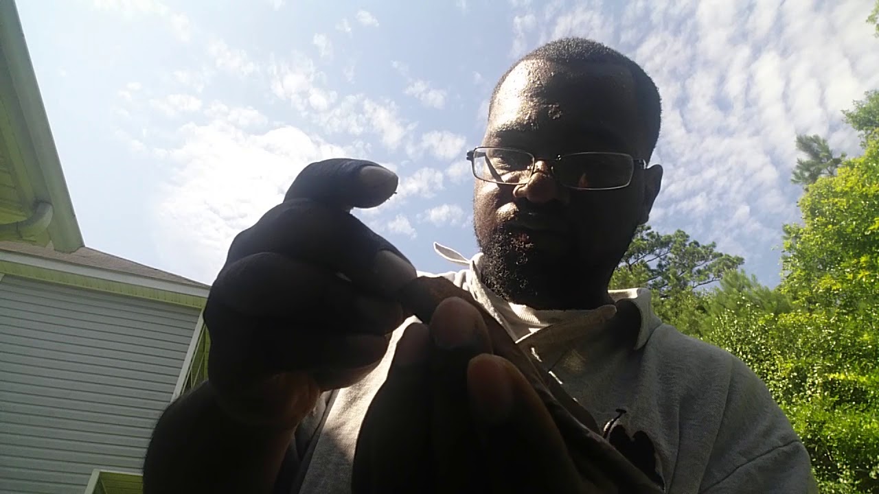 Rolling a dutch master cigar